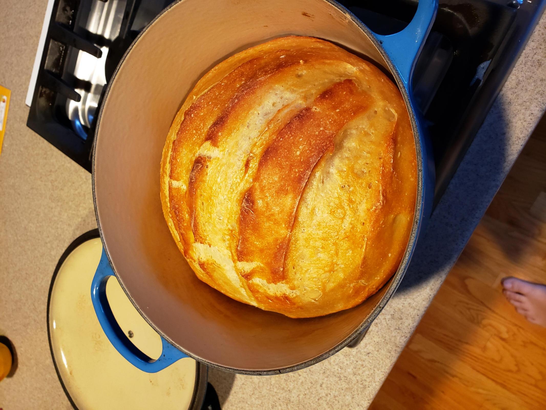 Warm up dough after refrigeration? The Fresh Loaf